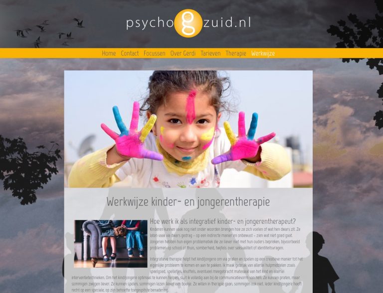Website ontwerp Limburg
